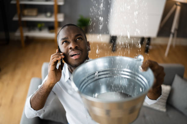 Best Mold removal after water damage  in Haworth, NJ