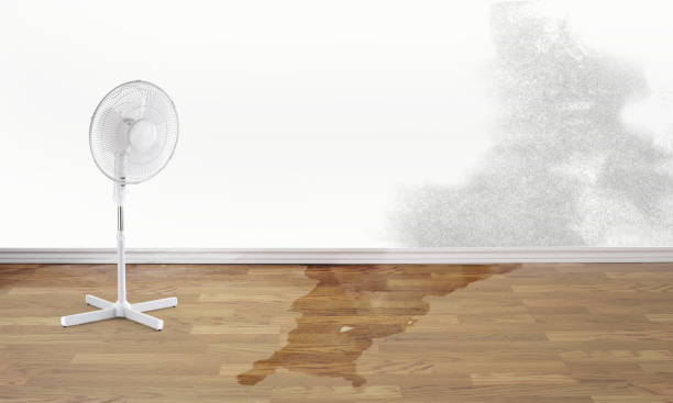 Best Flooded house restoration  in Haworth, NJ