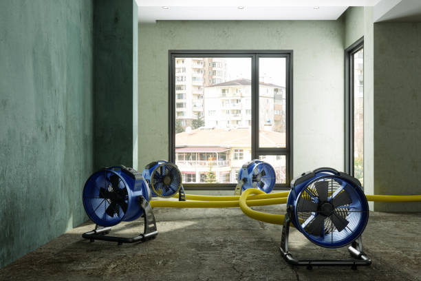 Best Water damage contractors near me  in Haworth, NJ