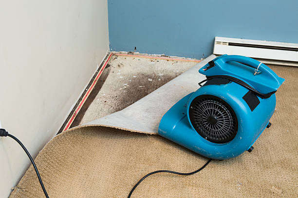 Best Professional water damage repair  in Haworth, NJ